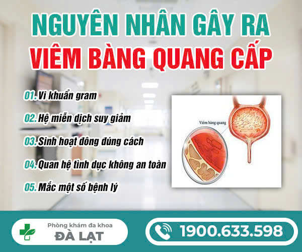 Hình ảnh minh họa